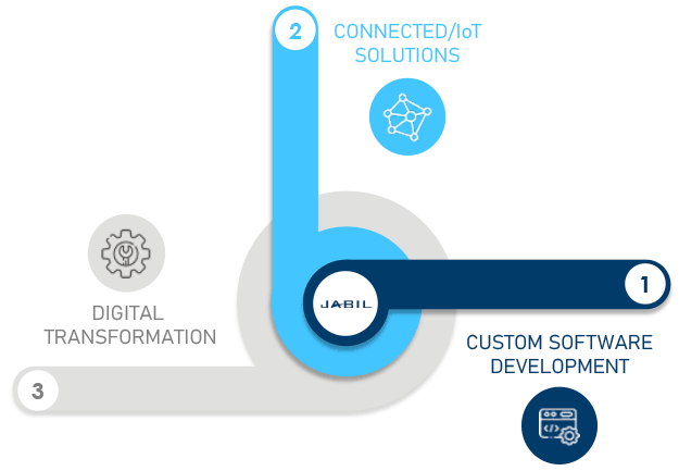 Software Services