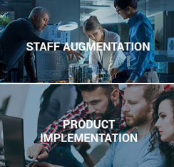 Software Services
